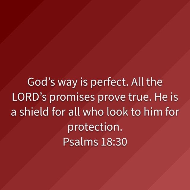 Shirley Wood's album, Timeline Photos