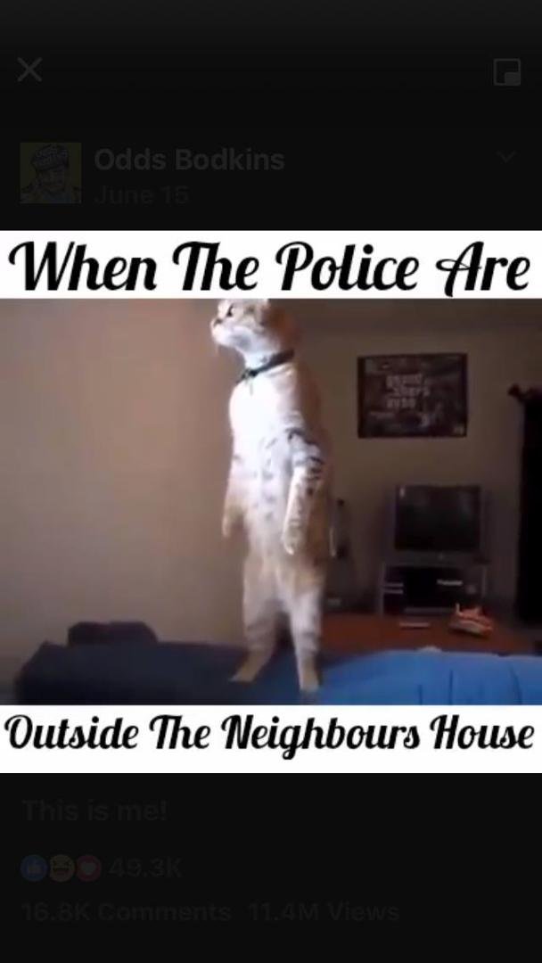 Enid Duck's album, Timeline Photos