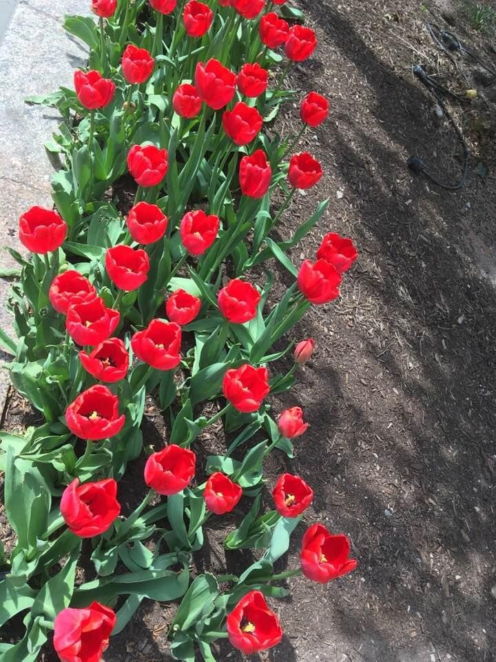 Dixie Mize Tolbert's album, Timeline Photos