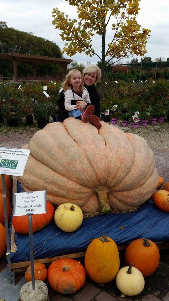 Nora sitting on the Great Pumpkin at Wasco Nursery