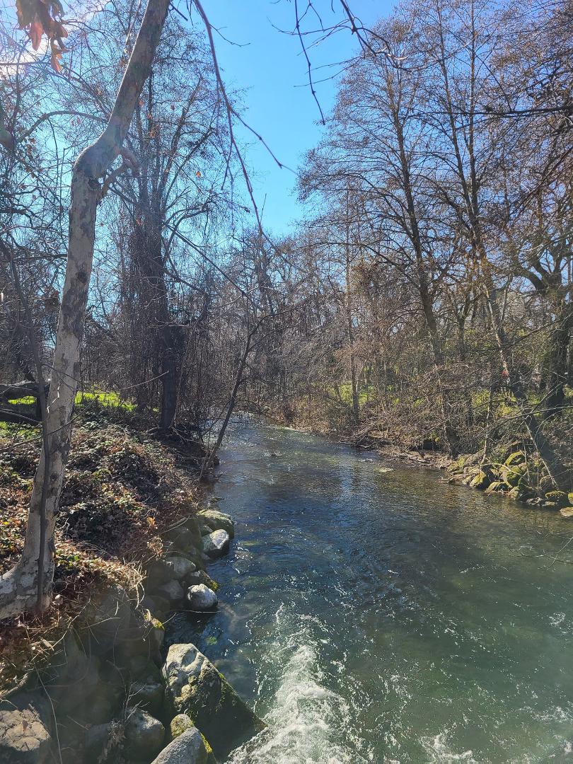 A walk in Bidwell Park in Chico CA