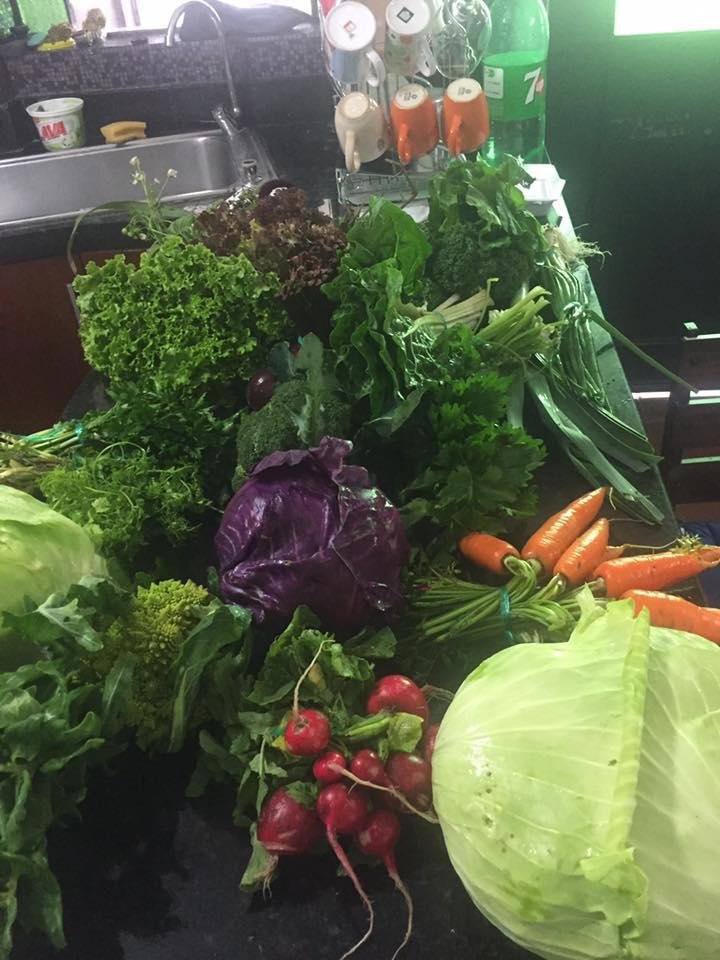 Just received the weekly delivery of produce fresh off the farm. 20 different products delivered to the house for a total of $7.00. Going to eat healthy.