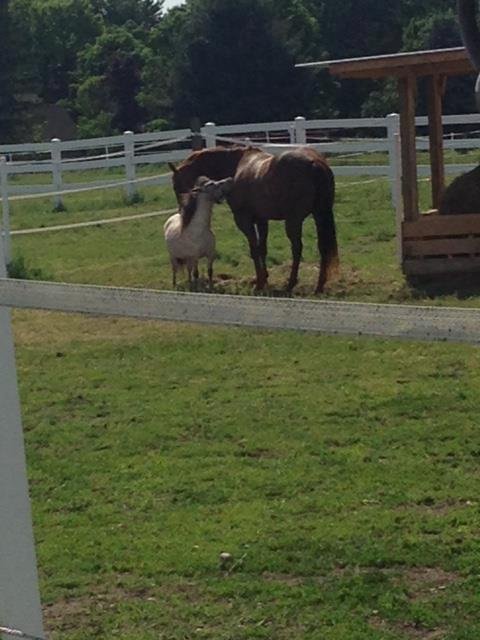 Donna Griesmeyer's album, Timeline Photos