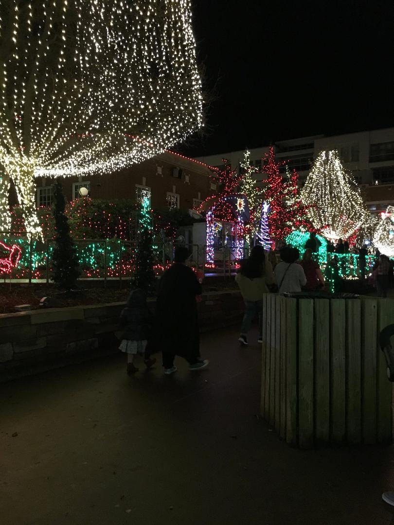 Fayetteville square Christmas night