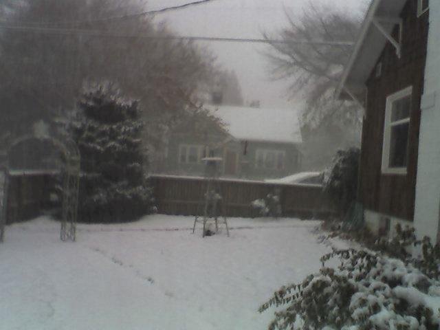 snow is nice if you can stay at home