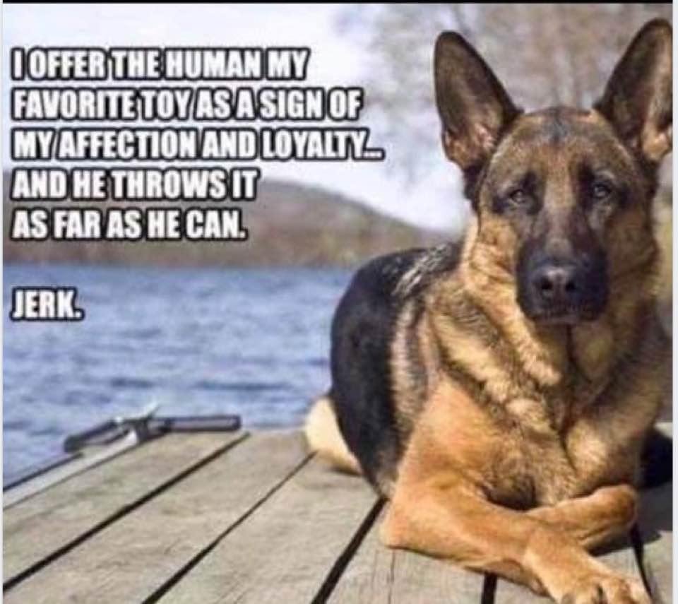 Myron Phillips' album, Timeline Photos