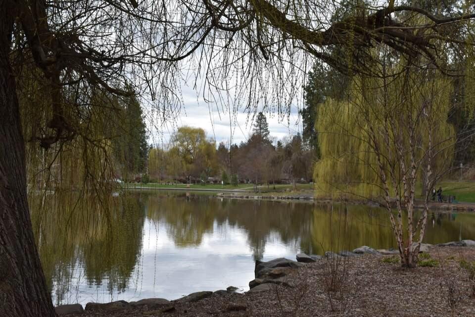 Steve Samsel's album, Timeline Photos