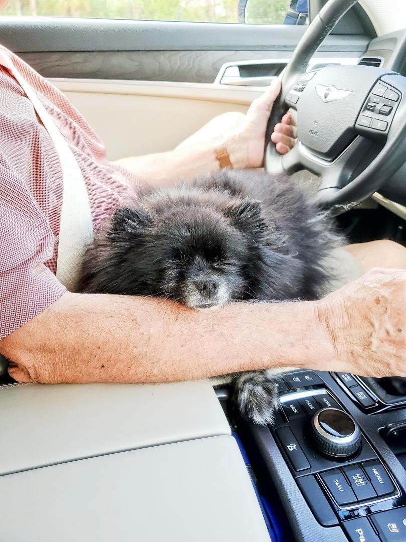 Loving the car ride.
