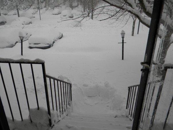 I had to give up after clearing the porch.  My back started to hurt again.  I took a couple of muscle relaxers and I feel good.  Is it to early to drink some wine?