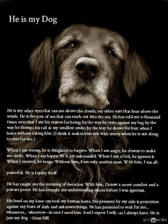 Betty Geer's album, Timeline Photos