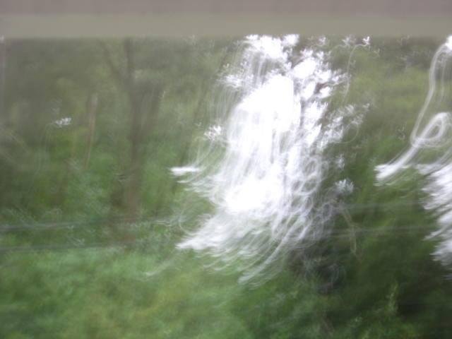 My husband saw the cross in the first picture.  It's really hard to see.  I just wanted to take a picture it and this is how it turned out.