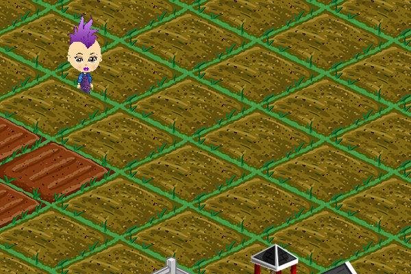 Joan Heim's album, FarmVille Photos