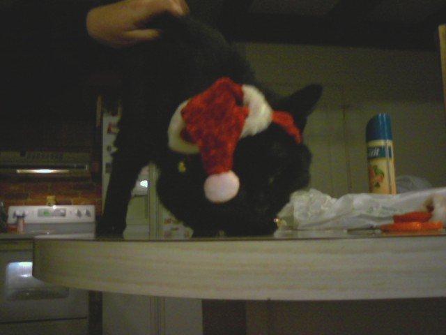 Spooky saying I will pounce and claw you for this