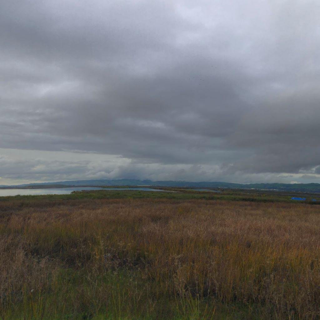 Alviso Marina County Park after the rain has stopped Siri