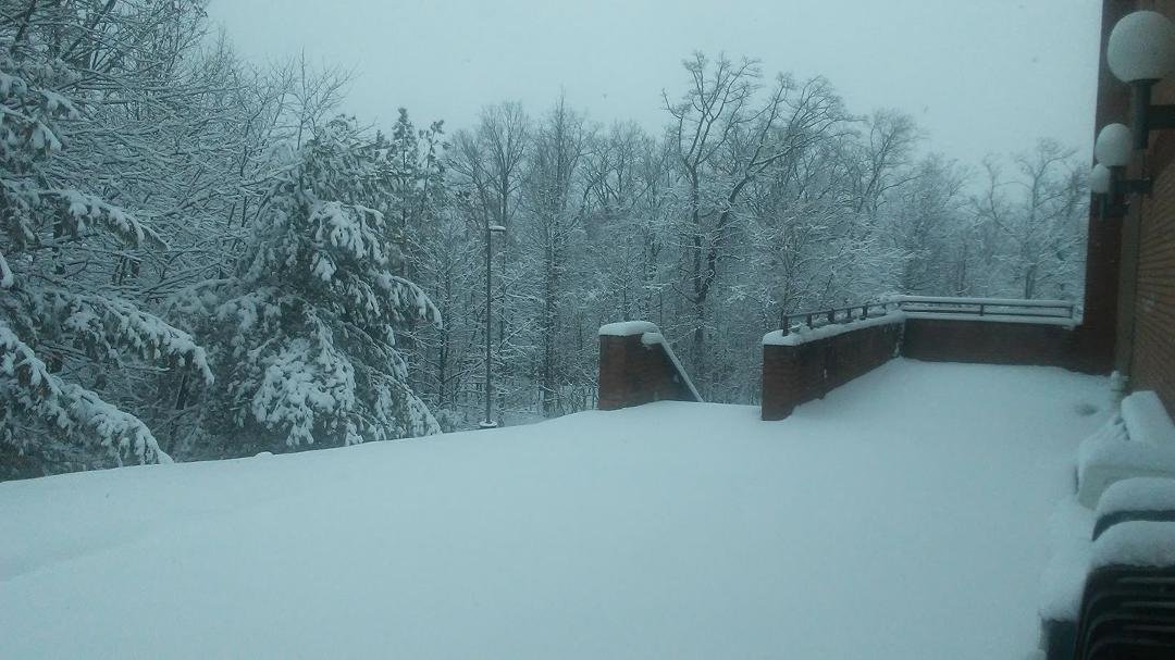 Kinda nice looking out back of house 1. Trying to help folks stay safe.