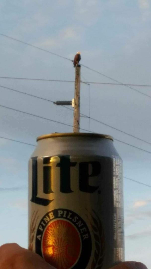 Happy 4th of July every one an only a few know where this pic was taken an that was 3 years ago on the 4th of July everyone enjoy there day an be safe