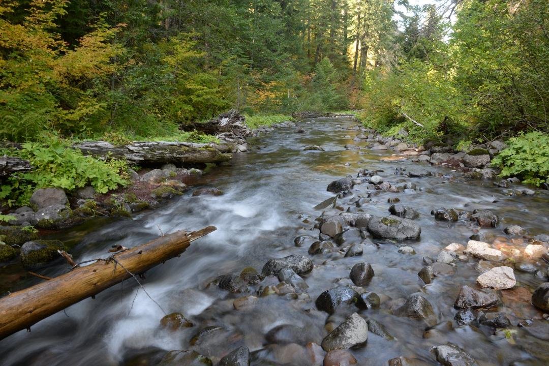 Fall is here!!!  Upper Santiam River Oregon