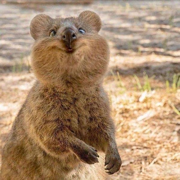 Hey there!