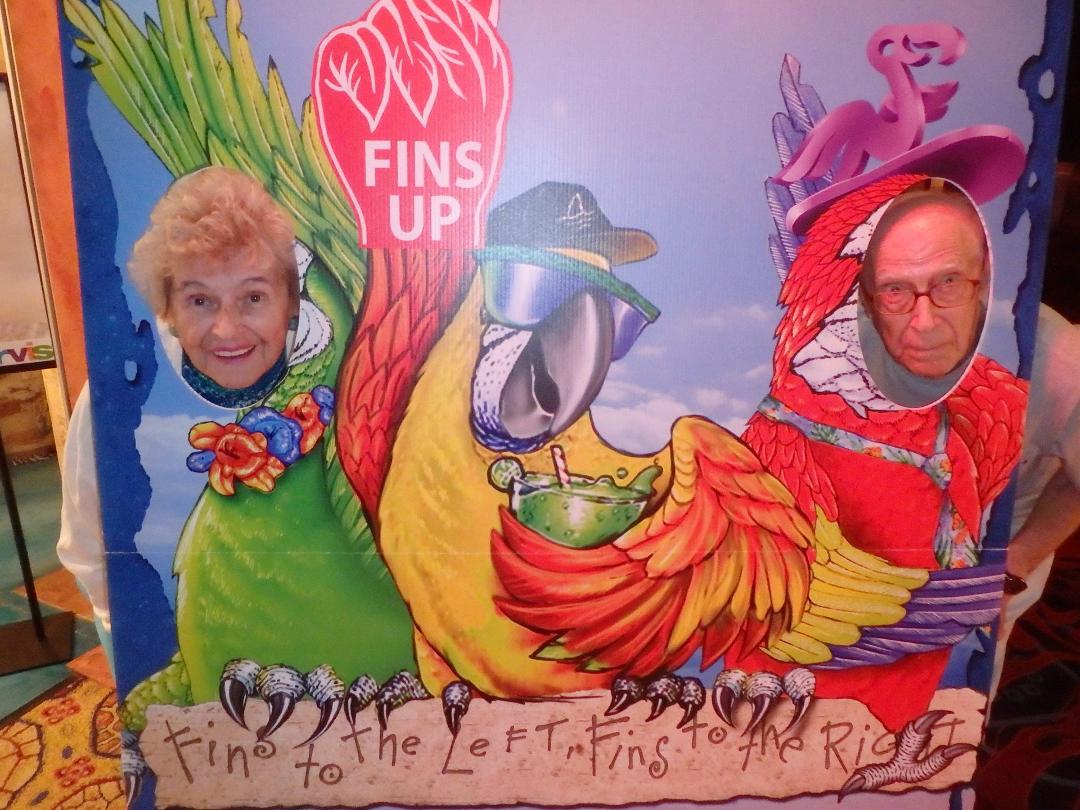 fins up