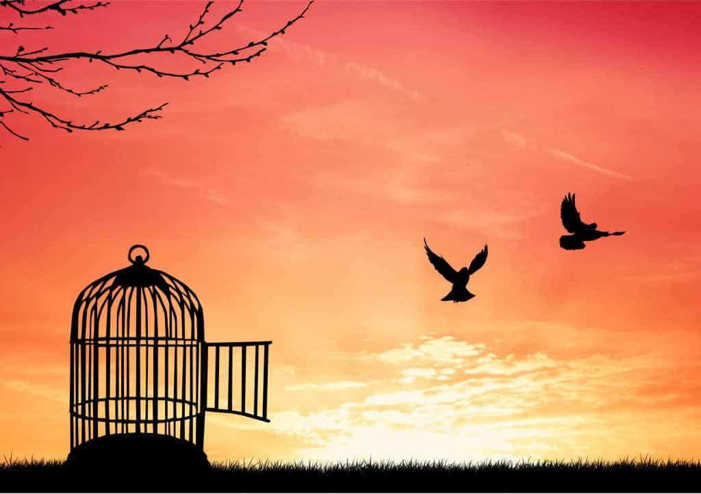 So much of my life has been an exercise in liberating myself from what I have been told is the truth and reality. -- The Daily Coach