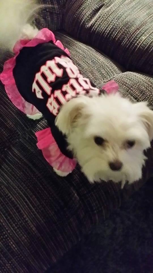 Mitzi