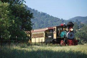 Had a great day at Santa Margarita Ranch fireing the old Porter yesterday. The engine fired real nice. Each time we arrived at the top of the hill, I had plenty of steam and water. No makeup time required. Hope the wedding