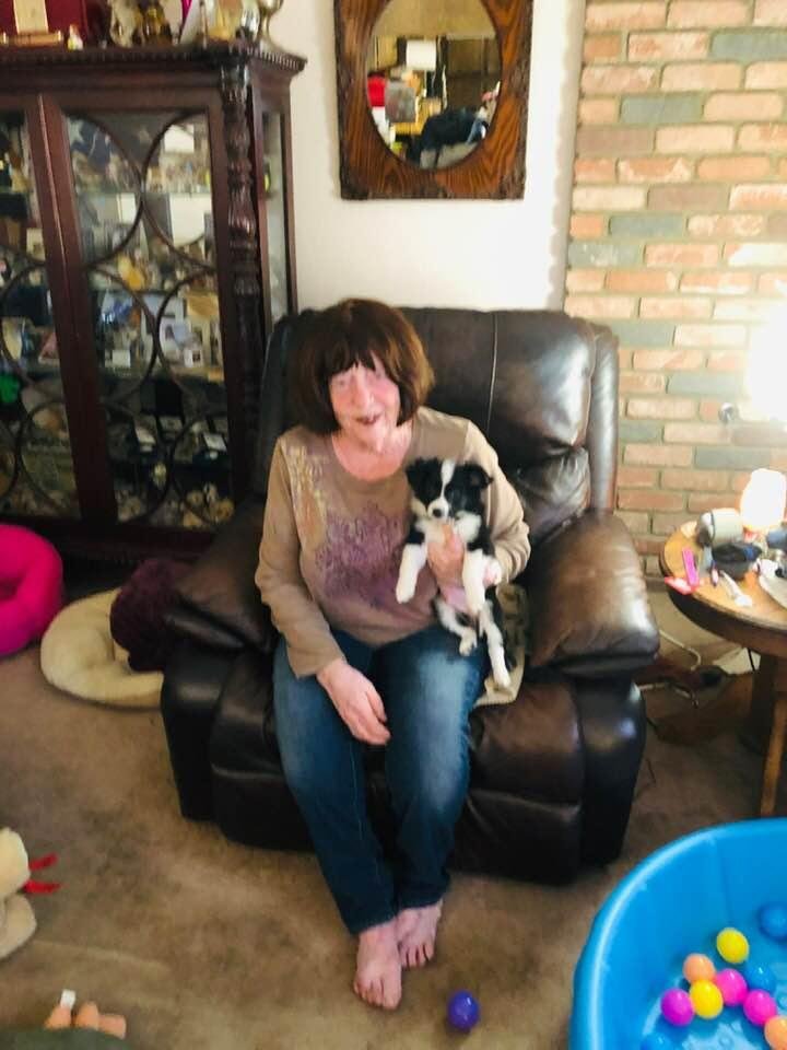 My new puppy