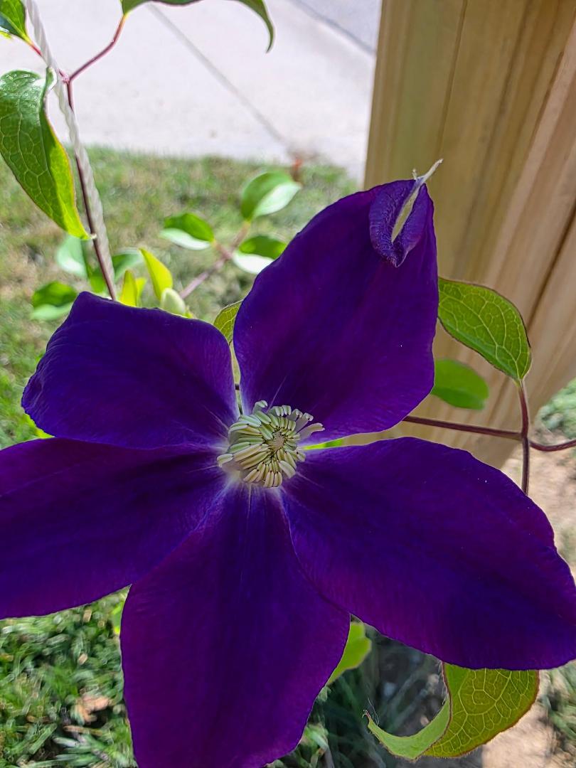 Larry Bobb's album, Timeline photos