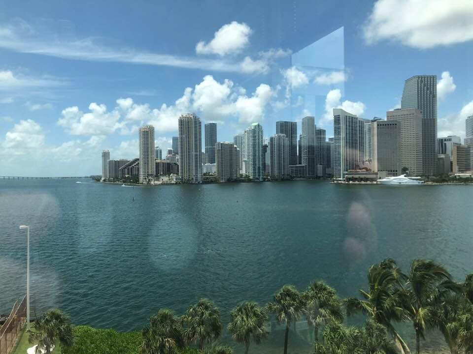 What a great view through my window today.