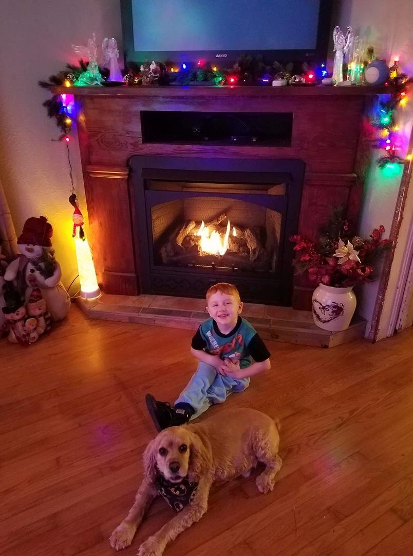 My cocker spaniel Toby , ran off this morning when I took out a bag of trash. I was unable to find him prior to going to work and Heather Tierney came by the house and would have gone to him. Please help me find Toby. Corne