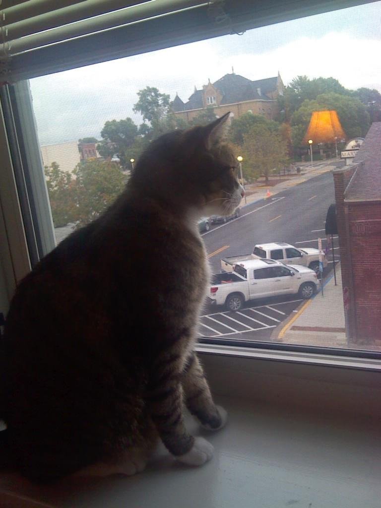 My buddy Crane keeping an eye on downtown Kirksville.