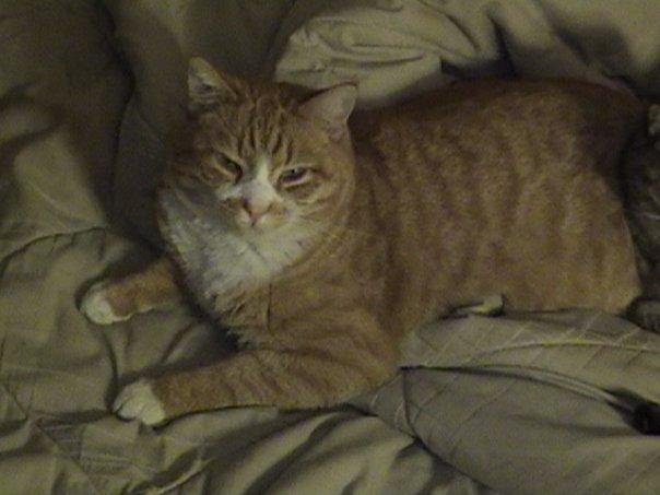 Coleman "Tommy" Randall's album, Timeline photos