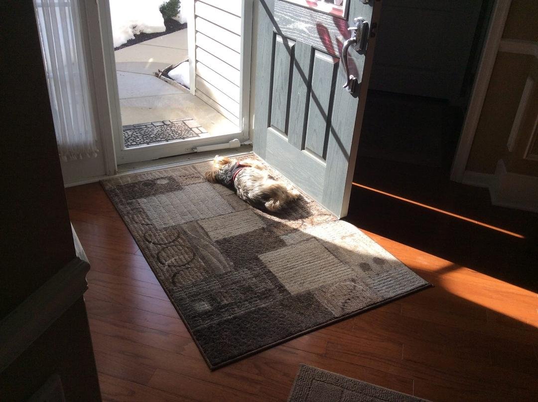 Beckham enjoying the sun