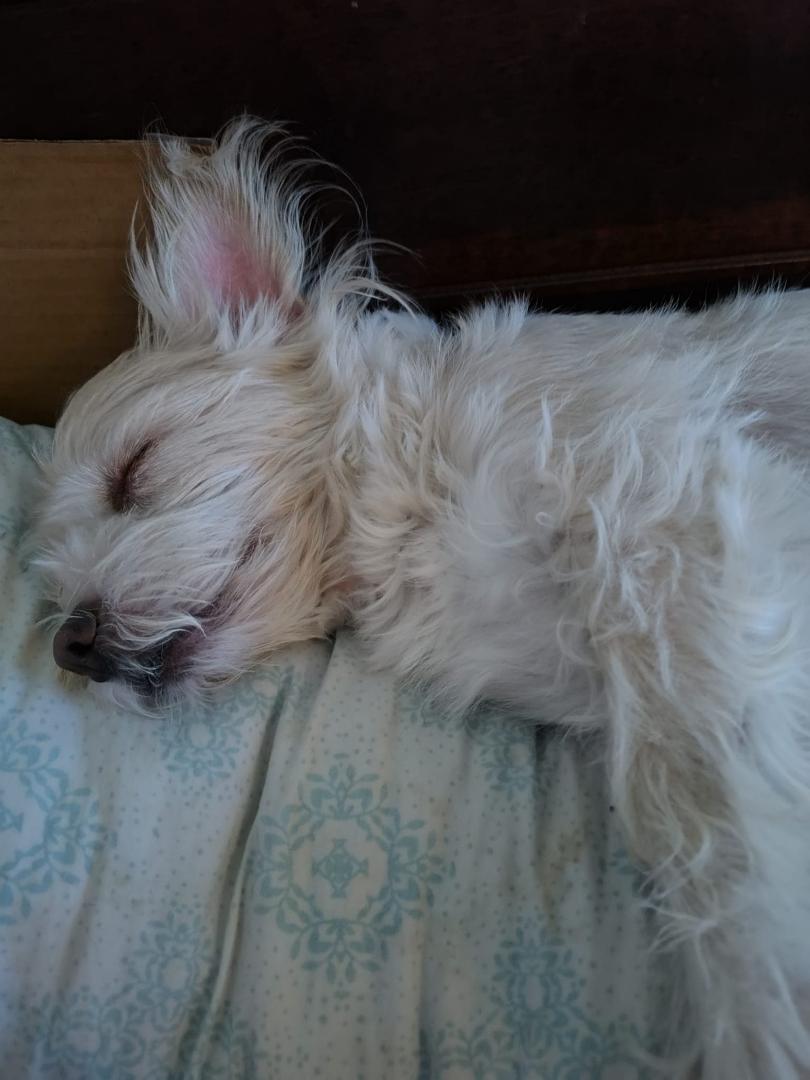 My sleepy baby, always by my side no matter what