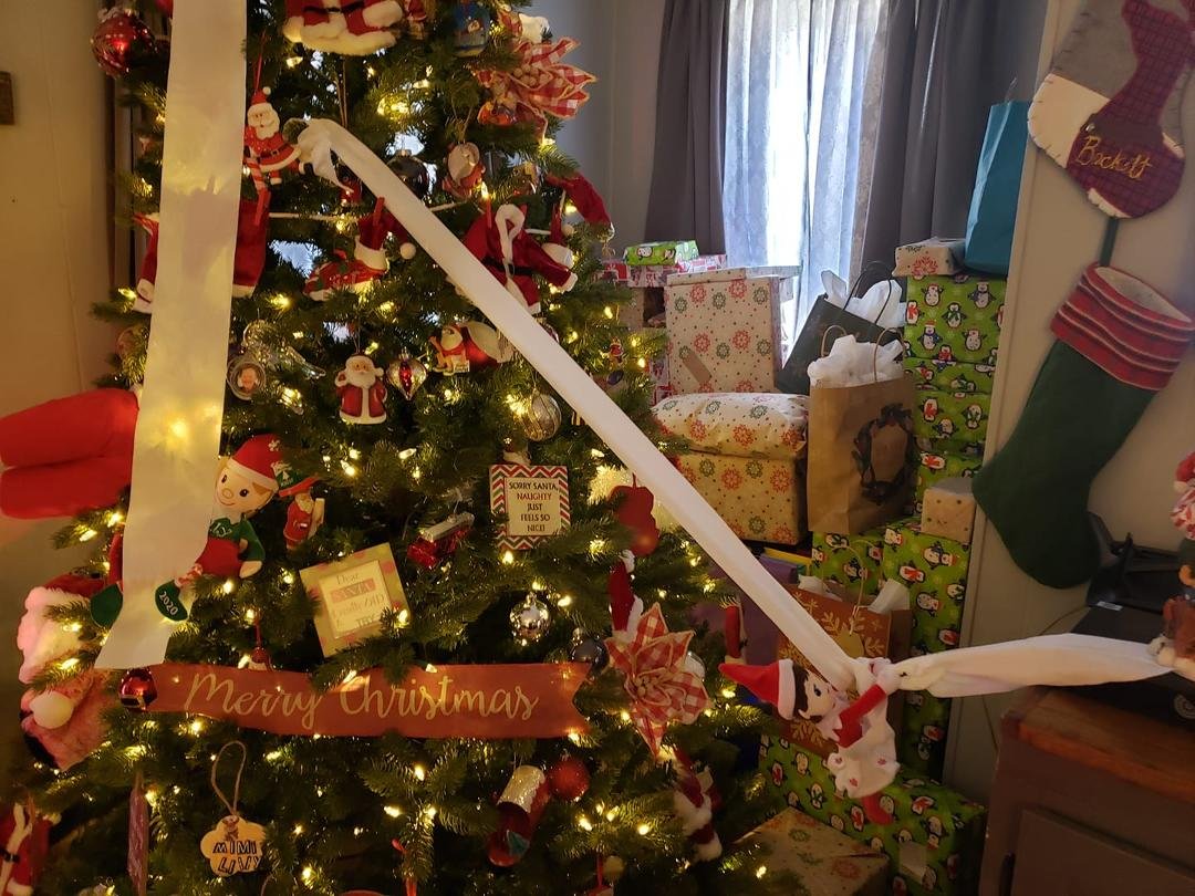 Well upon Lilly getting up this morning she found Rose (in her own words) slip lining from the Christmas tree...