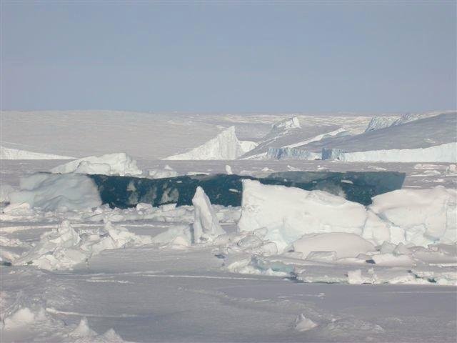 Roy Challis' album, icebergs