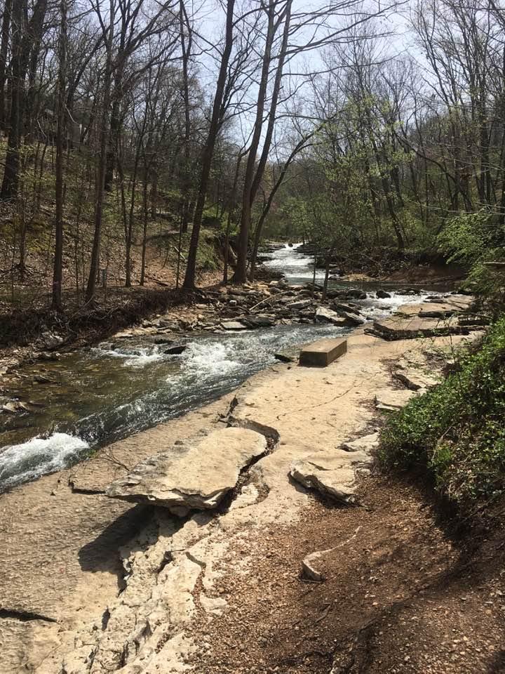 Springtime Bella Vista!