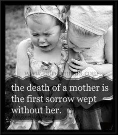 Debbie Rinaldo's album, Timeline Photos