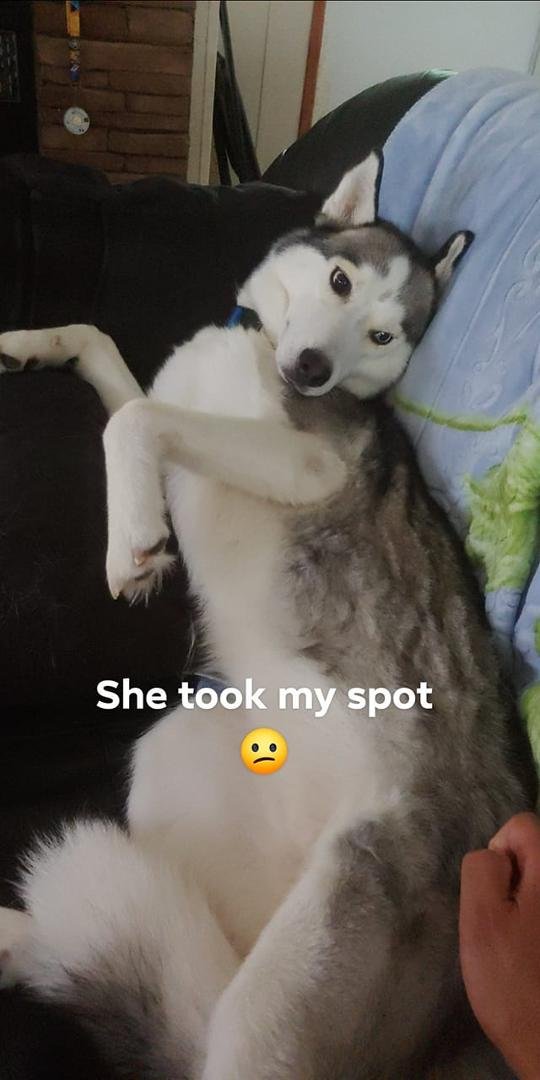 I was taking a nap then....