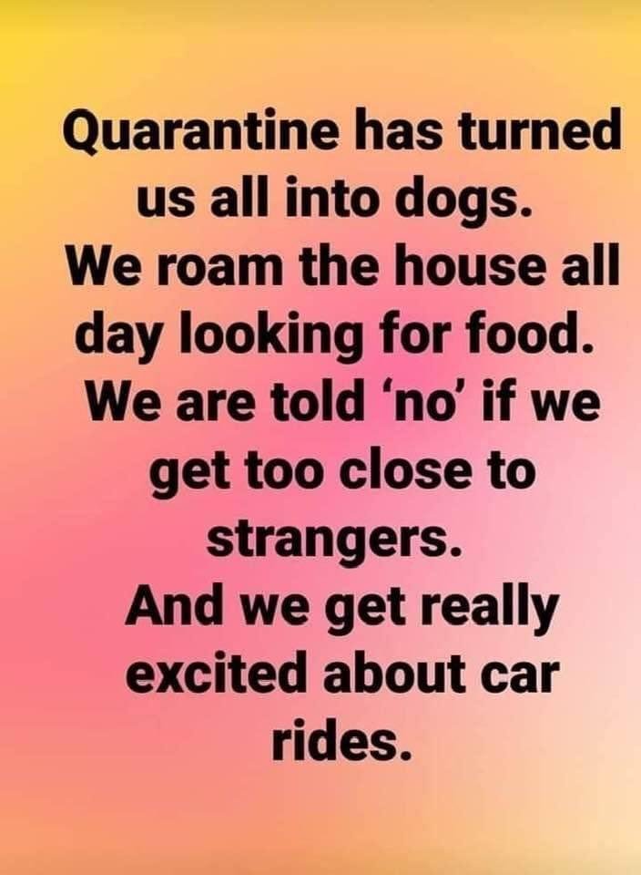 Vicki Hubbard's album, Timeline Photos