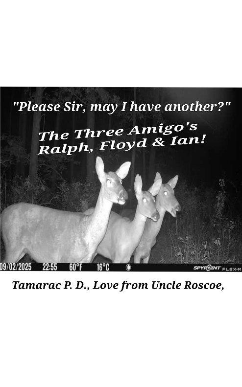 For my Tamarac P D and Broward Sheriff's Office peeps, special attention Floyd Baker and Ian Roberts , in memory of Deputy Ralph Reineke, may he Rest in Peace!