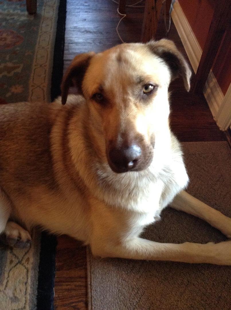 Jeb Schary's album, Timeline Photos