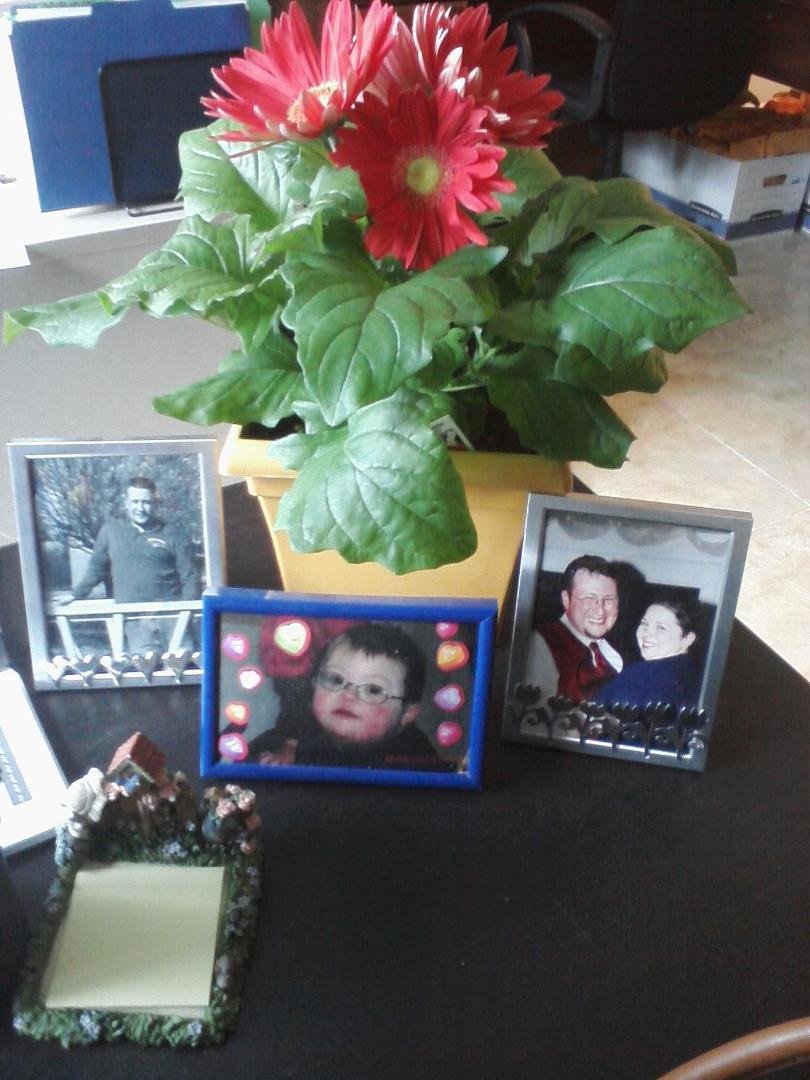 Flowers to brighten up my desk. Yeah for gerbera daisys.