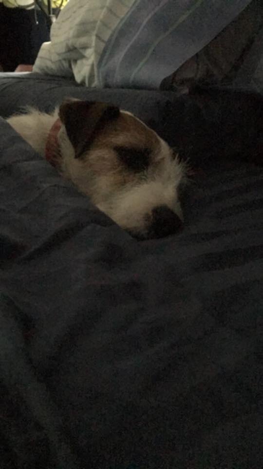 Nope, not getting up today!