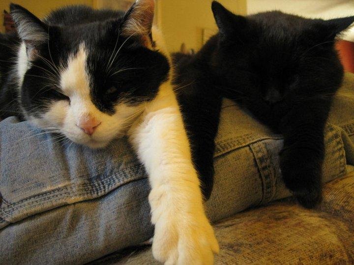 So sleepy....