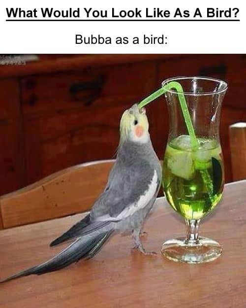 Cheers