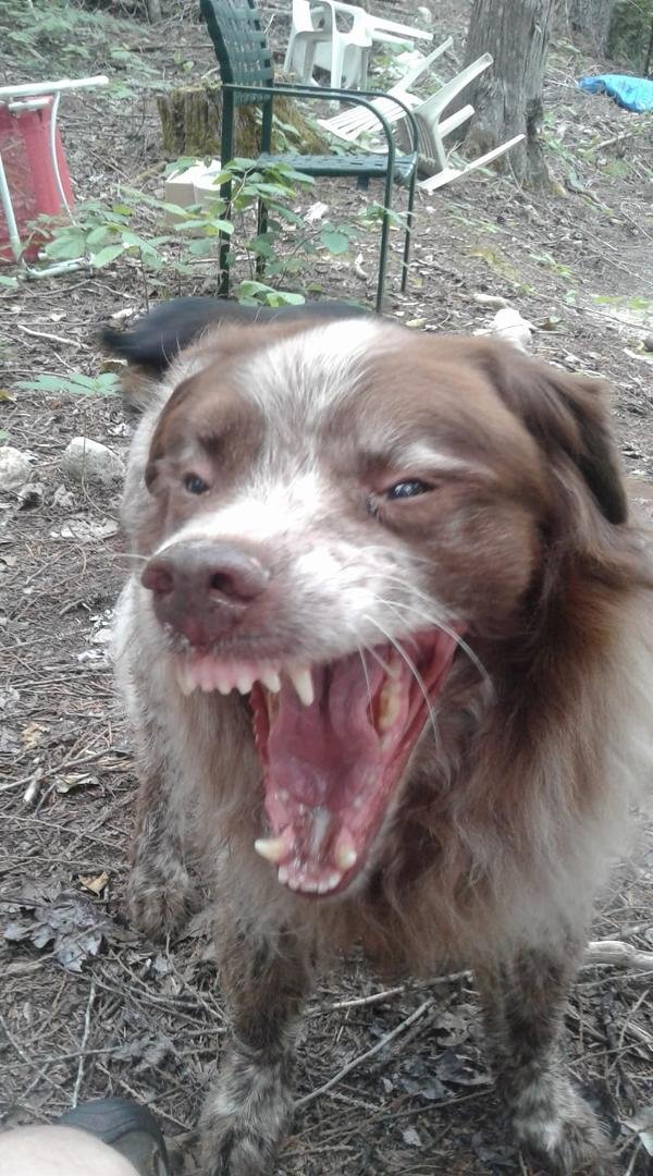 Any body got some dental floss.