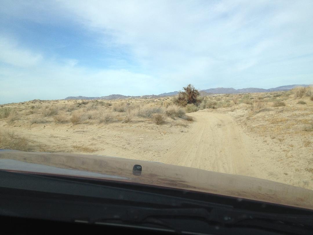 And so the desert