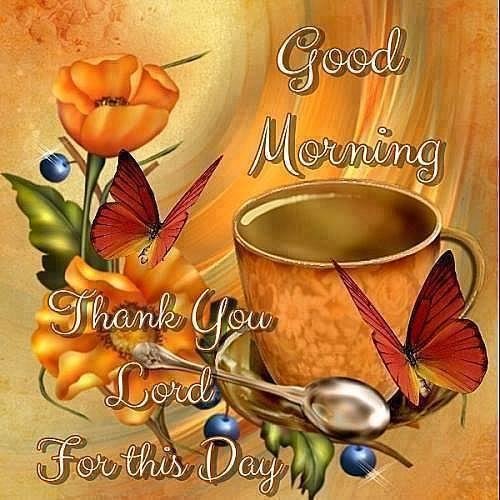 Daniel Chihos' album, Timeline photos