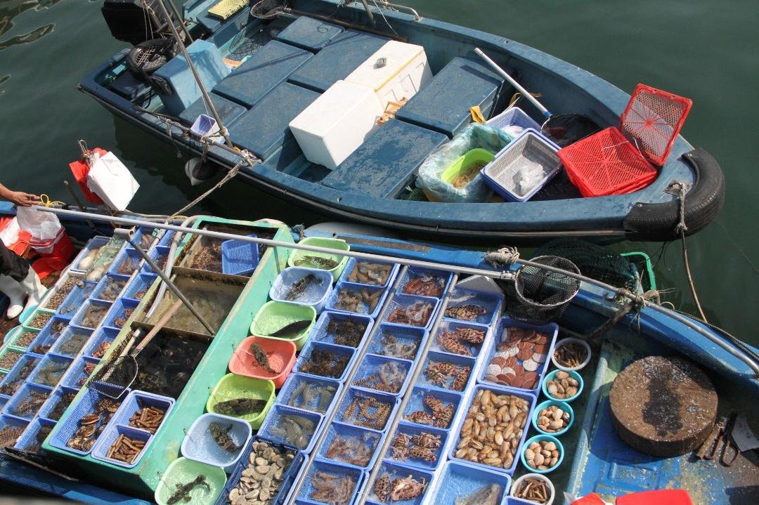Fish Market Hong Kong.